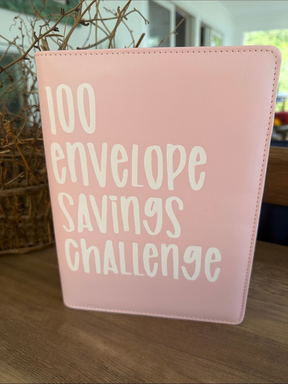 100 Envelope Savings Challenge Pink Savings Binder